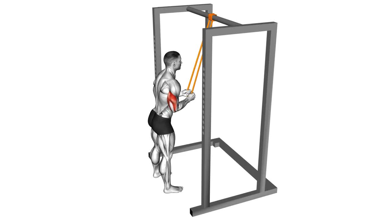 Resistance Band Tricep Pushdown form demonstration