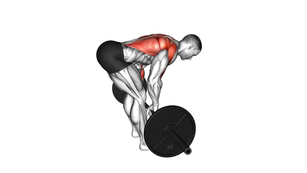 Barbell Bent Over Row form demonstration