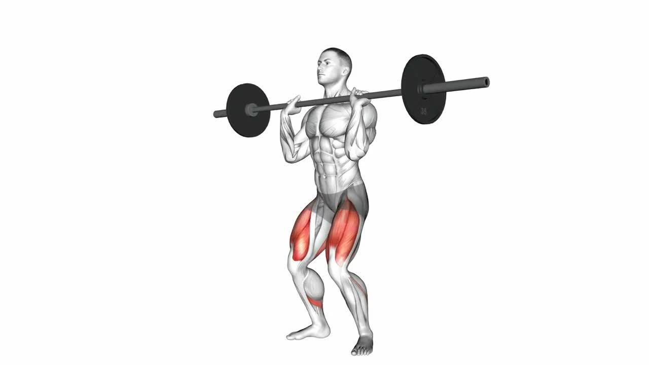 Barbell Front Squat form demonstration