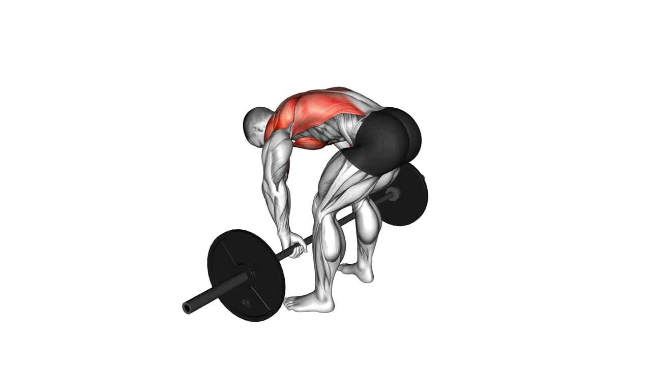 Barbell Pendlay Row form demonstration