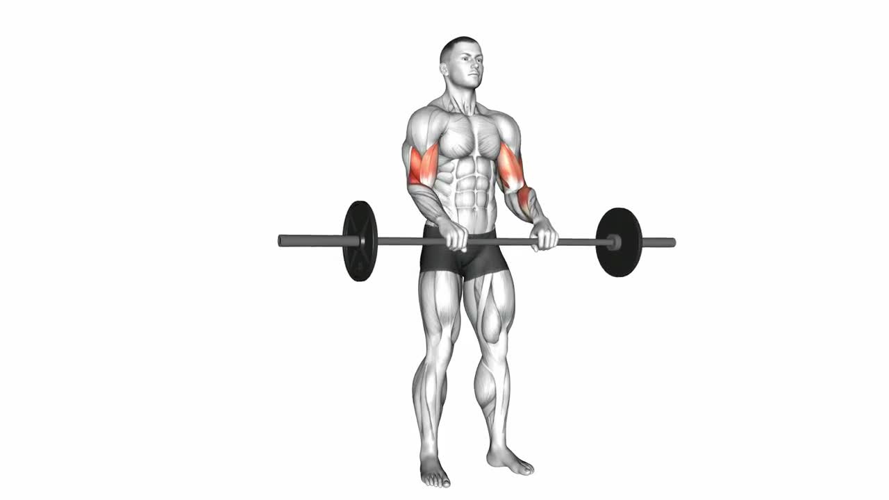Barbell Reverse Curl form demonstration