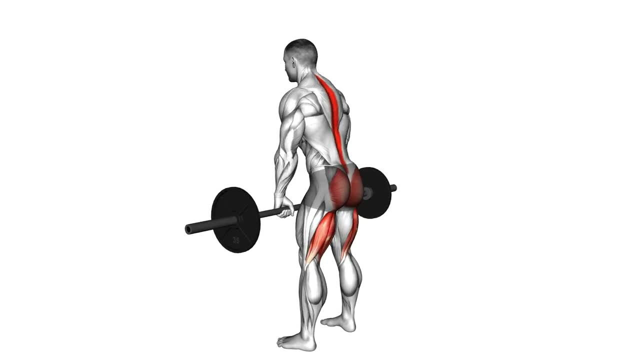 Barbell Romanian Deadlift form demonstration