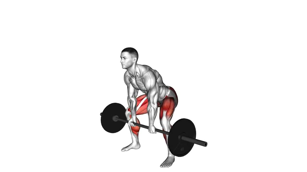 Barbell Sumo Deadlift form demonstration