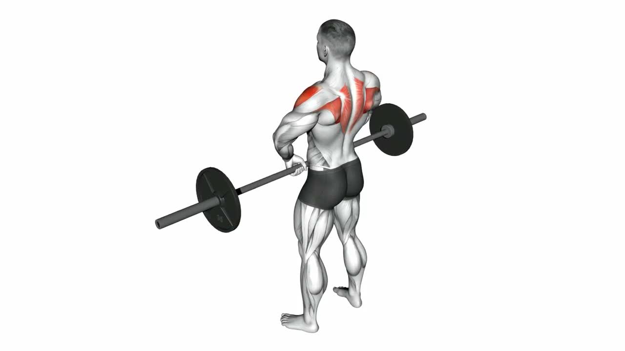 Barbell Upright Row form demonstration