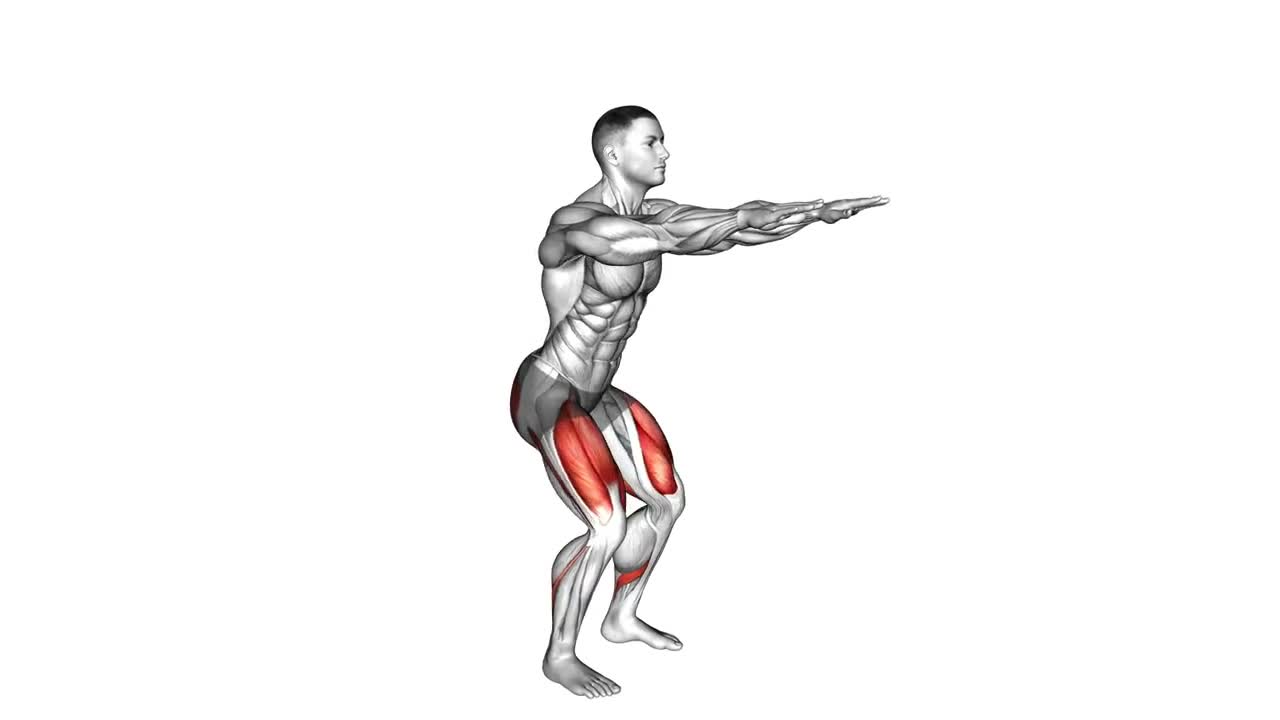 Bodyweight Squat form demonstration