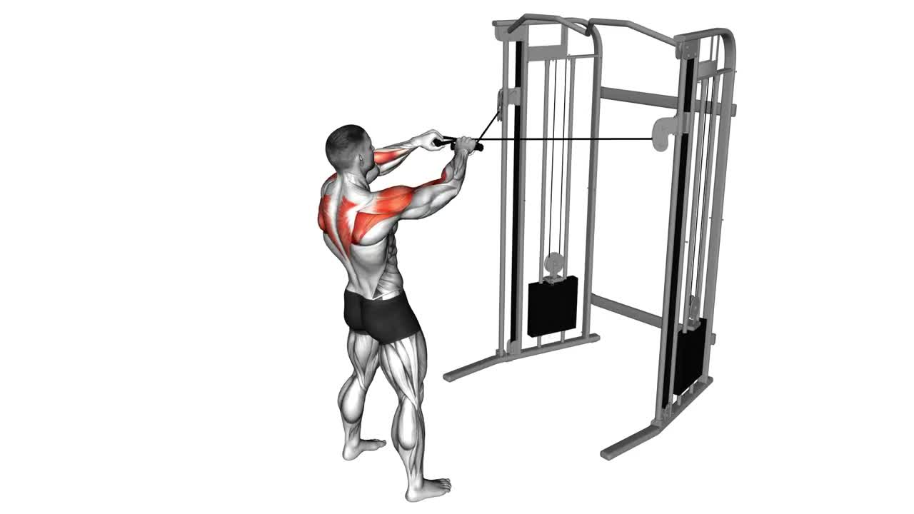 Cable Face Pull form demonstration