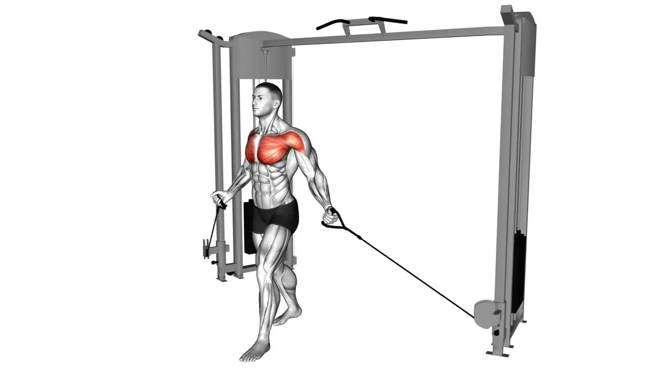 Cable Fly Low to High form demonstration