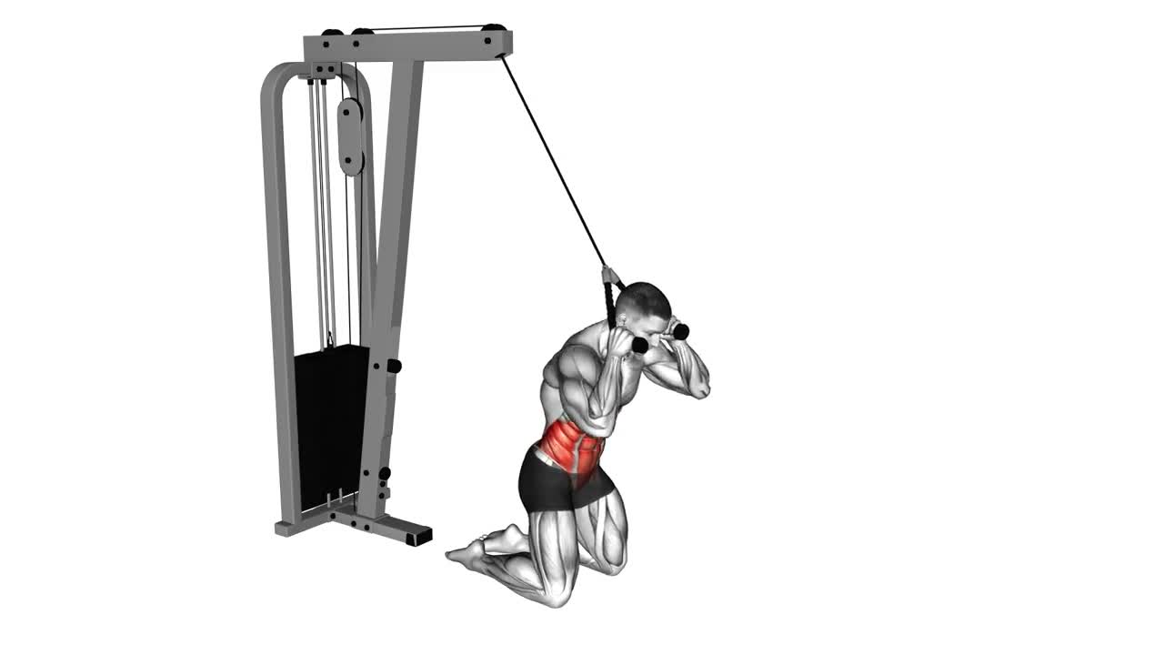 Cable Kneeling Crunch form demonstration