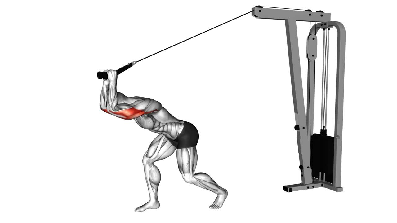 Cable Overhead Tricep Extension form demonstration