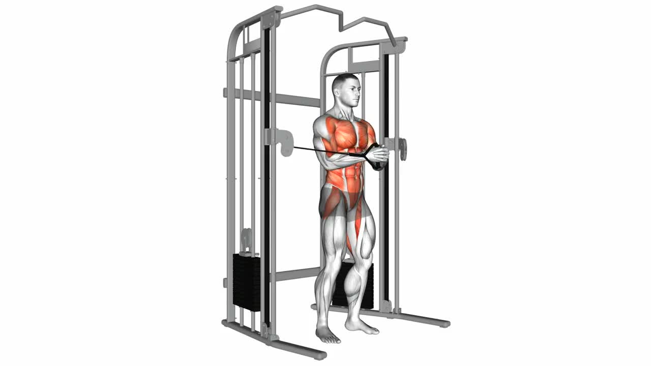 Cable Pallof Press form demonstration