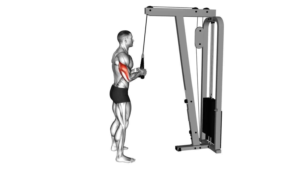 Cable Tricep Pushdown Rope form demonstration
