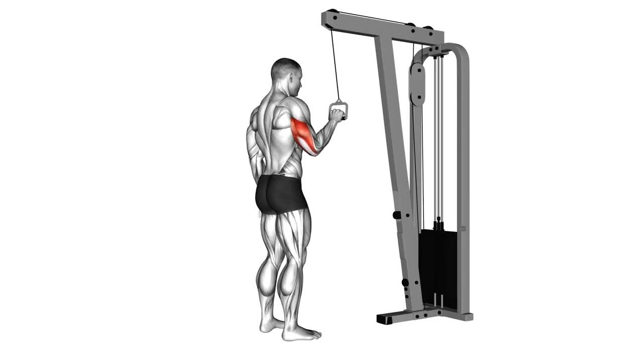 Cable Tricep Single Arm Pushdown form demonstration