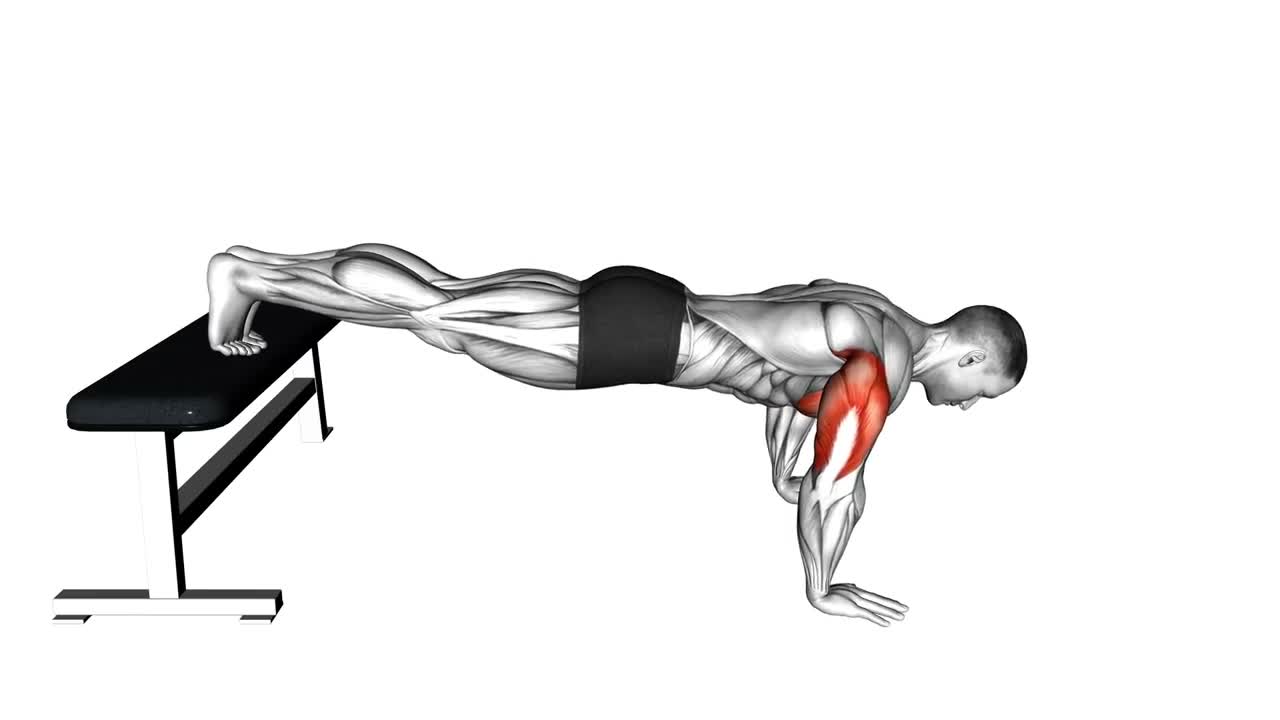 Decline Push Up form demonstration