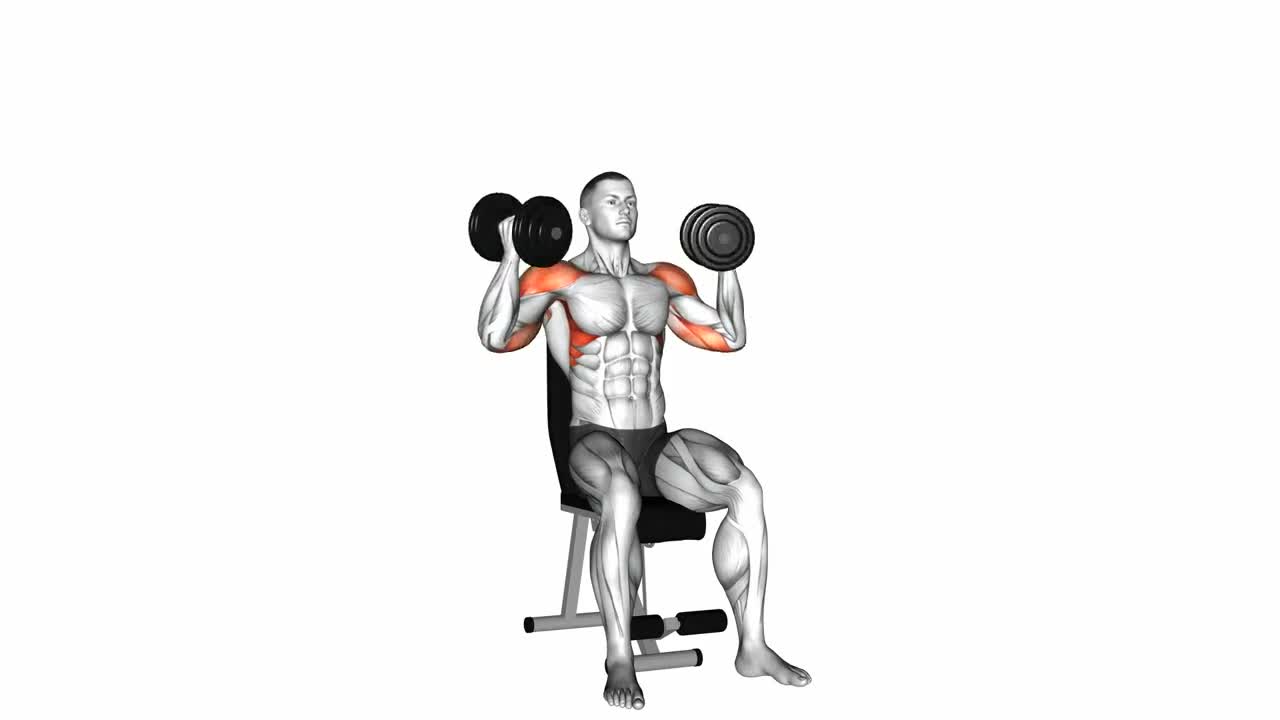 Dumbbell Arnold Press form demonstration