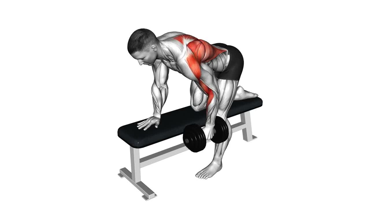 Dumbbell Bent Over Row form demonstration