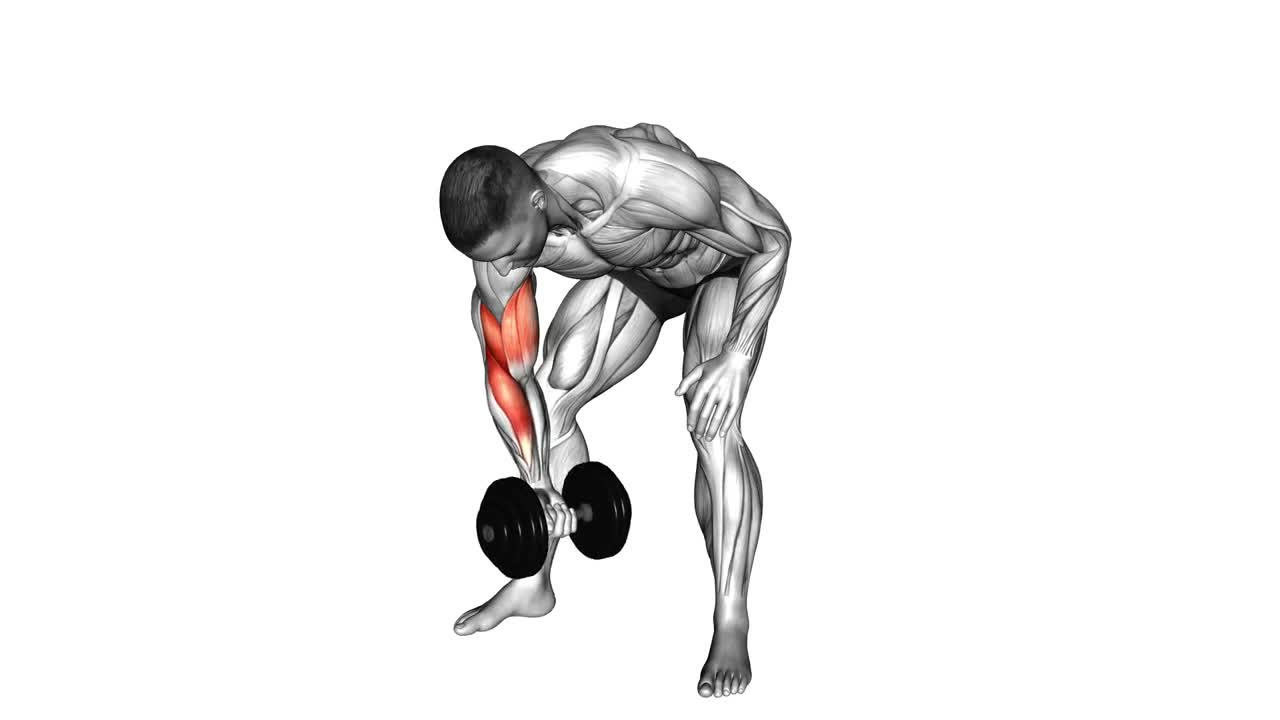 Dumbbell Concentration Curl form demonstration