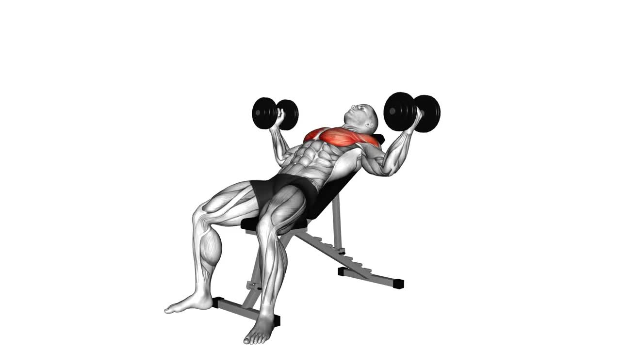 Dumbbell Incline Fly form demonstration