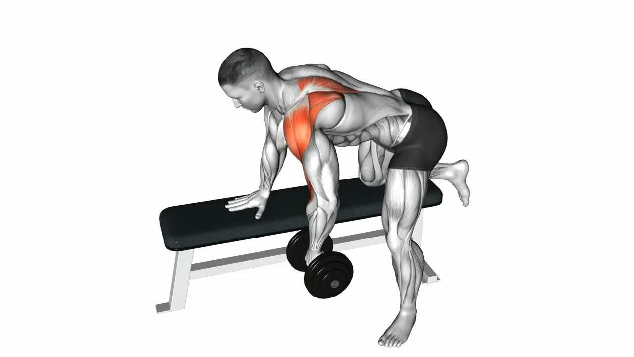 Dumbbell Rear Delt Row on Bench form demonstration