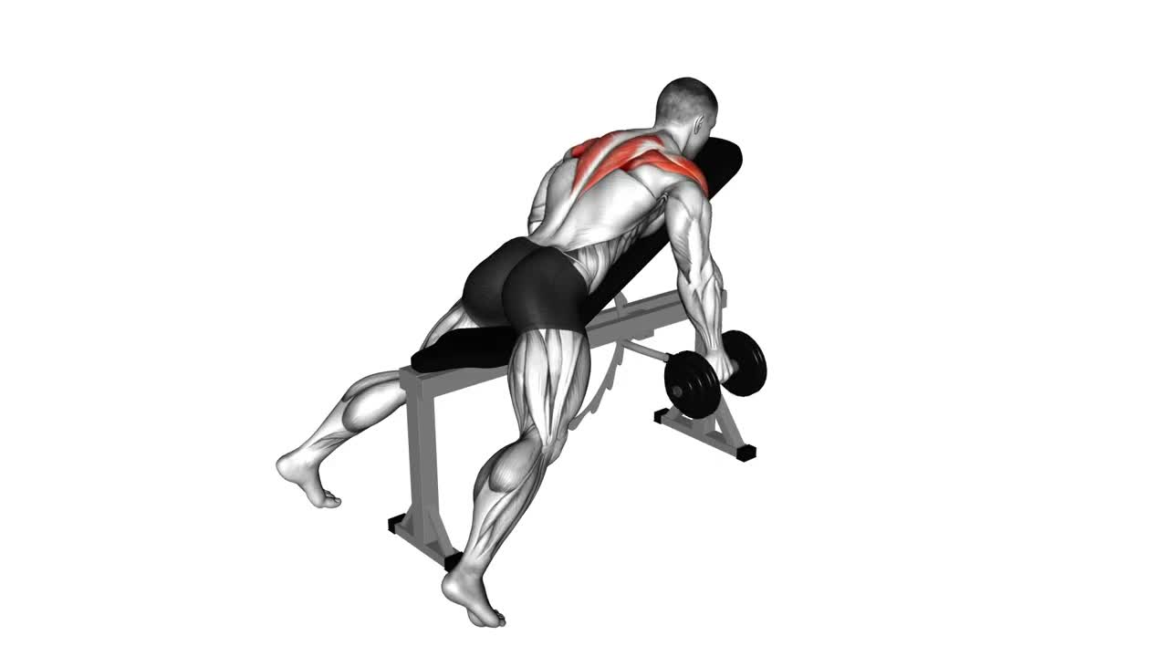 Dumbbell Reverse Fly form demonstration