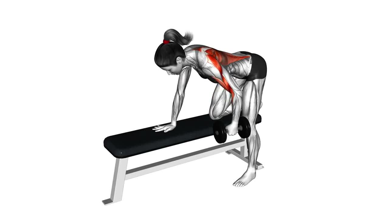 Dumbbell Single Arm Row on Bench form demonstration