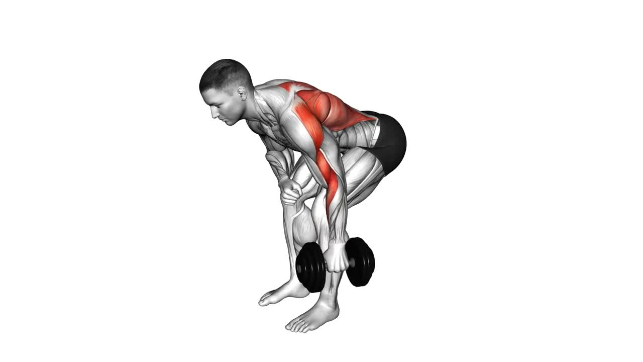 Dumbbell Single Arm Row form demonstration