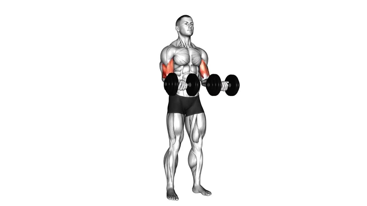 Dumbbell Zottman Curl form demonstration