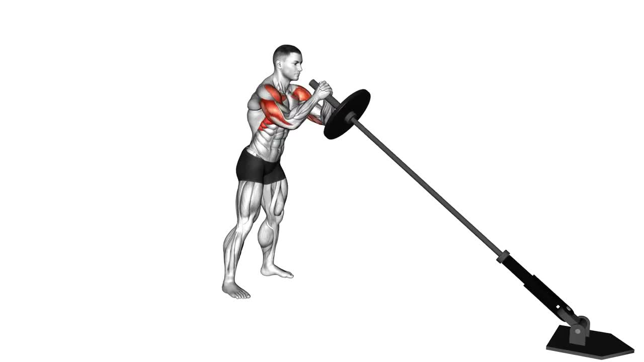 Landmine Overhead Press Bilateral form demonstration