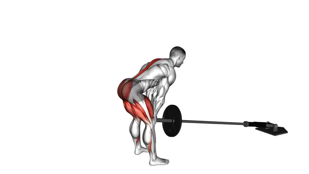 Landmine Romanian Deadlift form demonstration