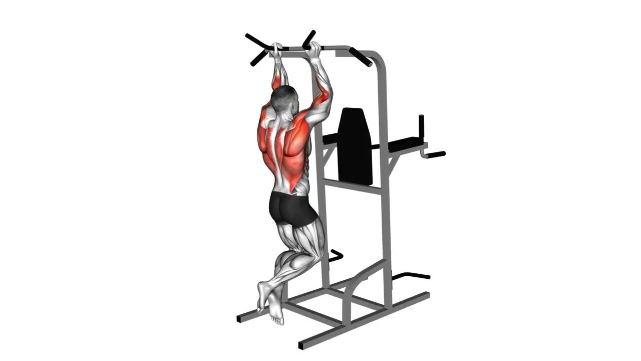 Neutral Grip Pull Up form demonstration