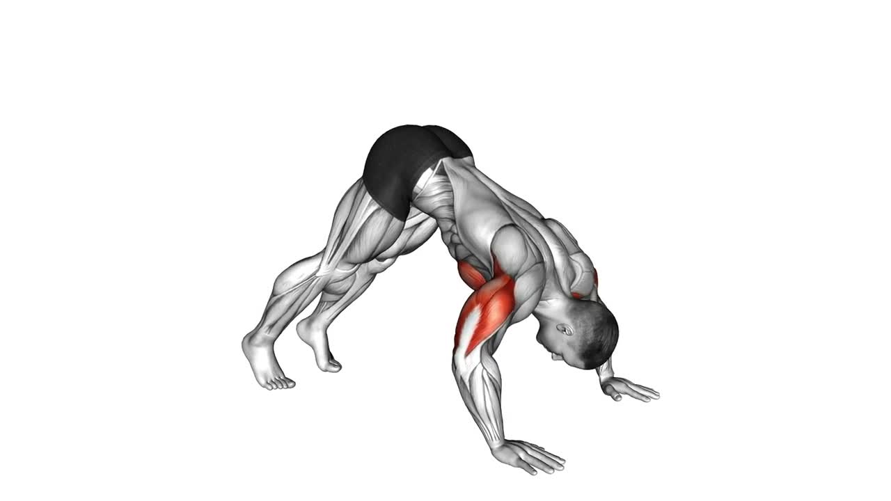 Pike Push Up form demonstration