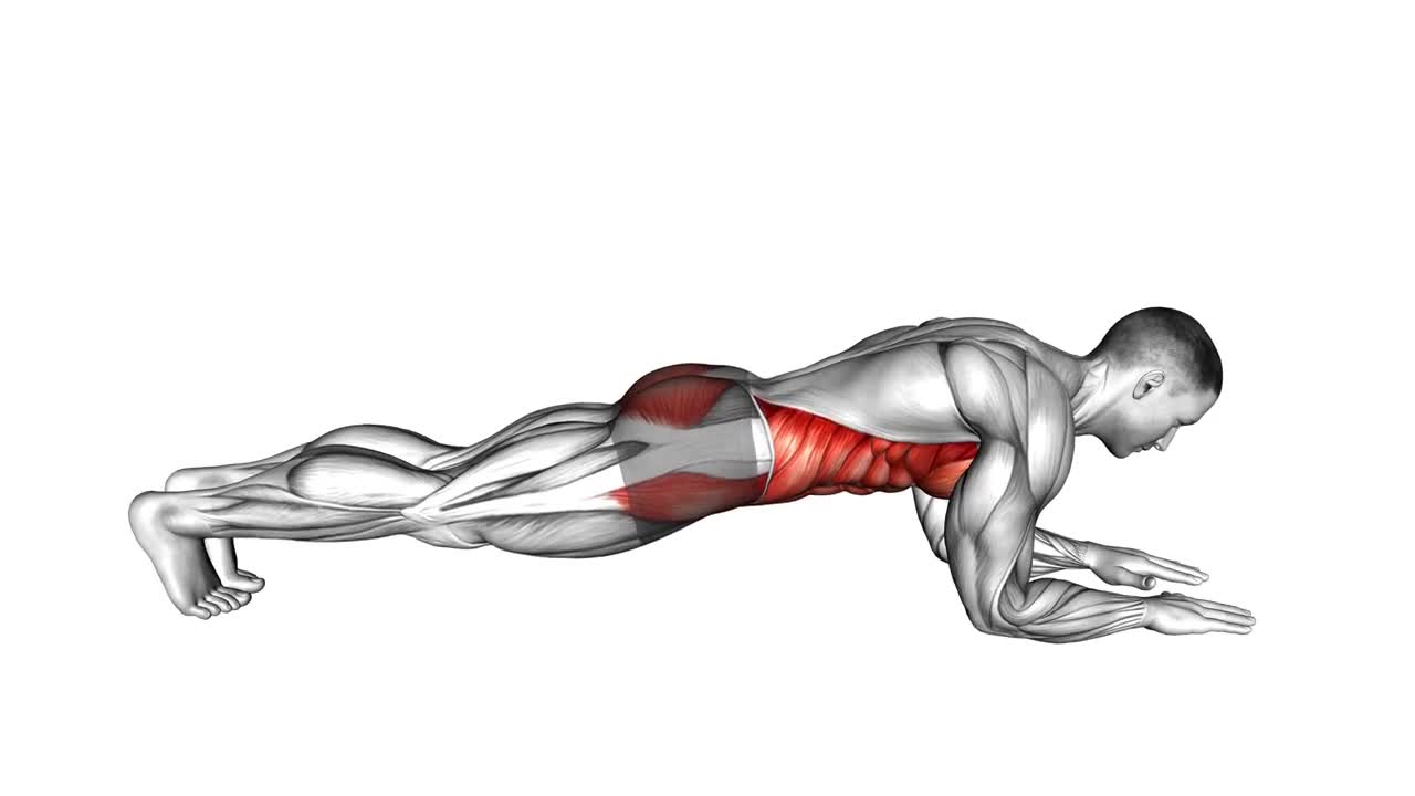 Plank form demonstration