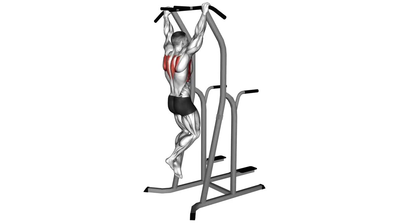 Scapular Pull Up form demonstration