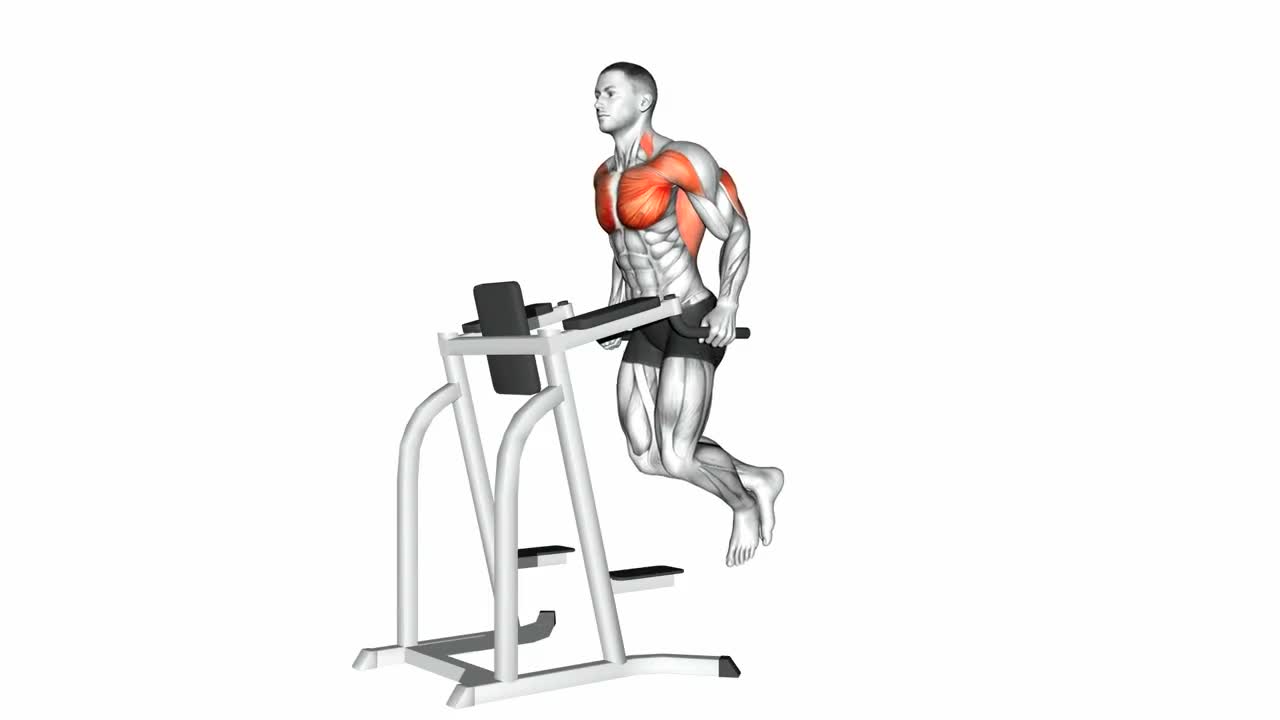 Tricep Dip form demonstration